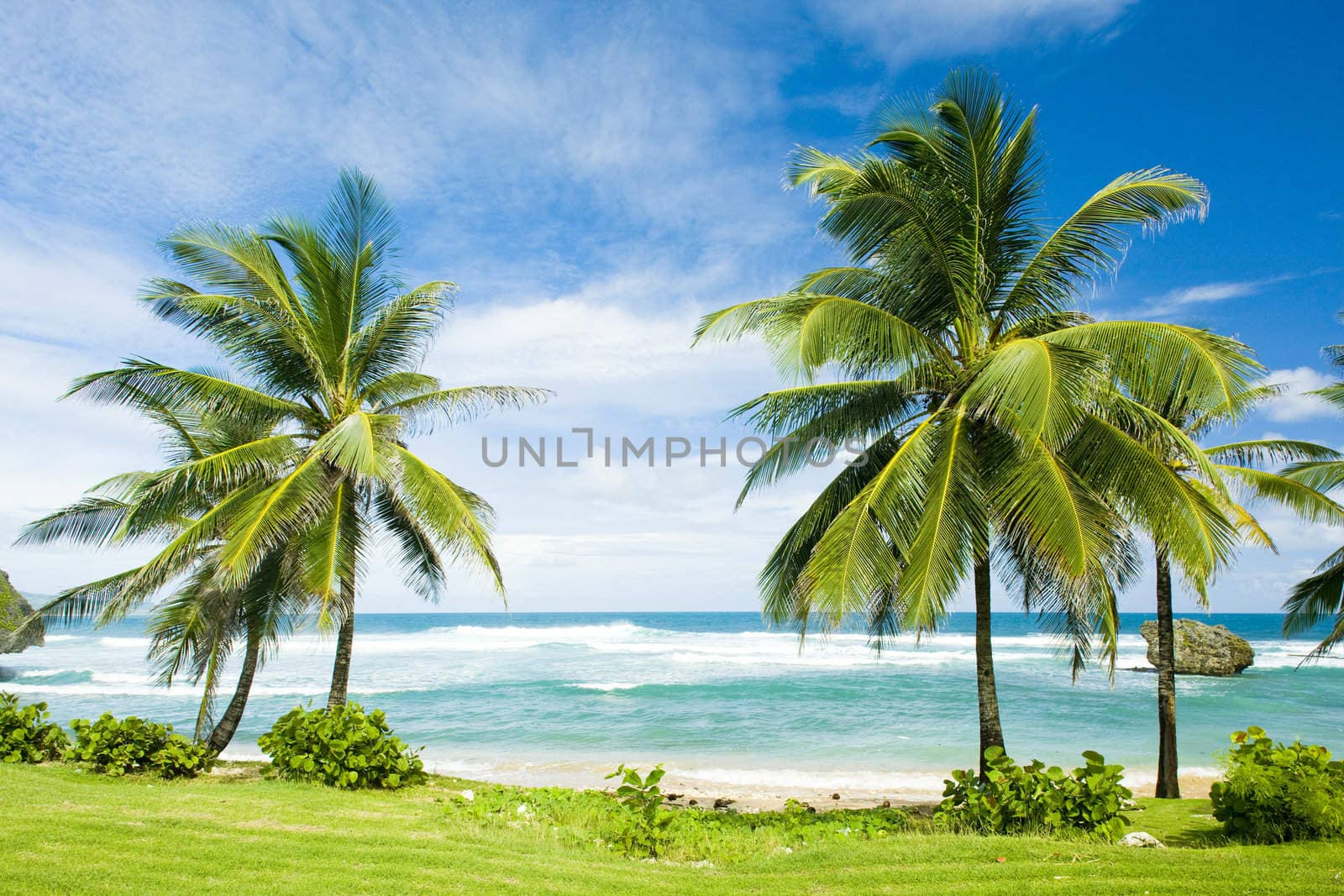Bathsheba, East coast of Barbados, Caribbean