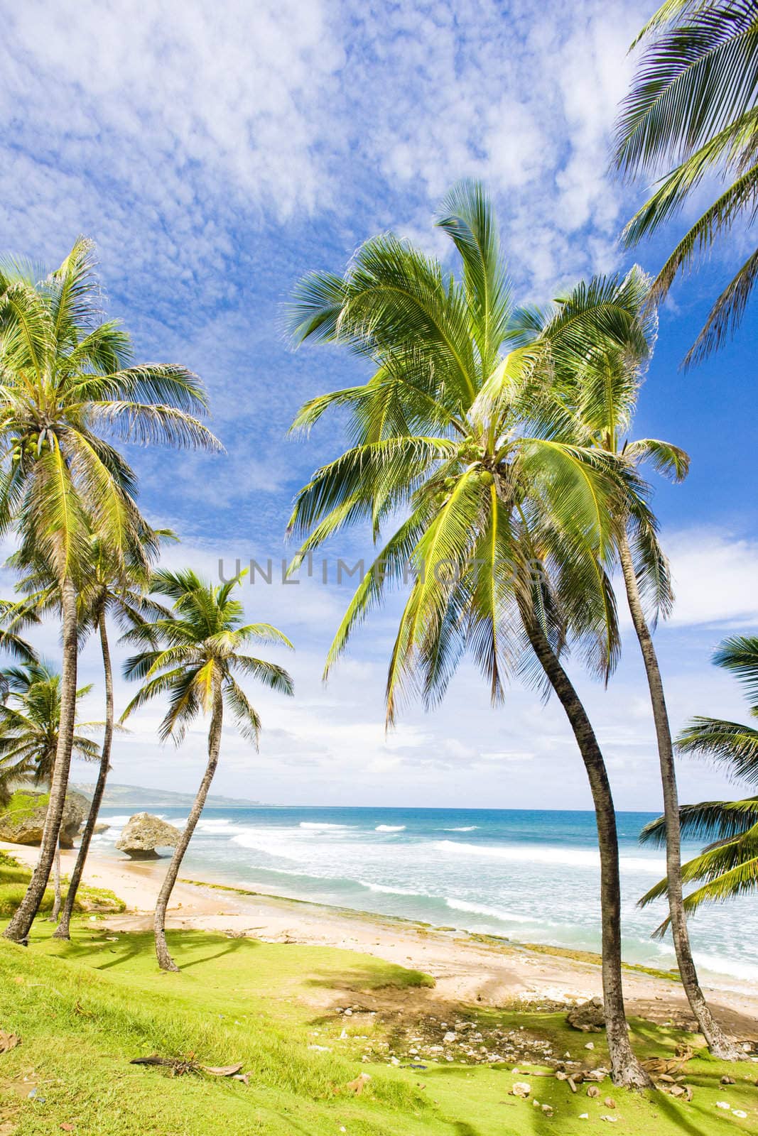 Bathsheba, Eastern coast of Barbados, Caribbean
