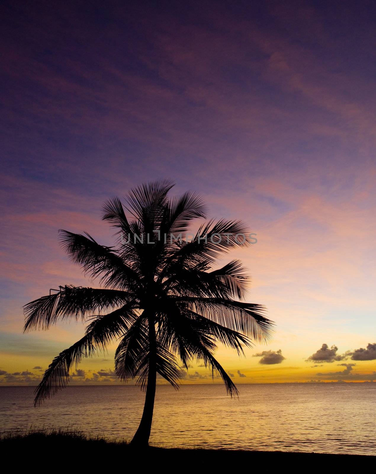 sunset over Caribbean Sea, Barbados by phbcz