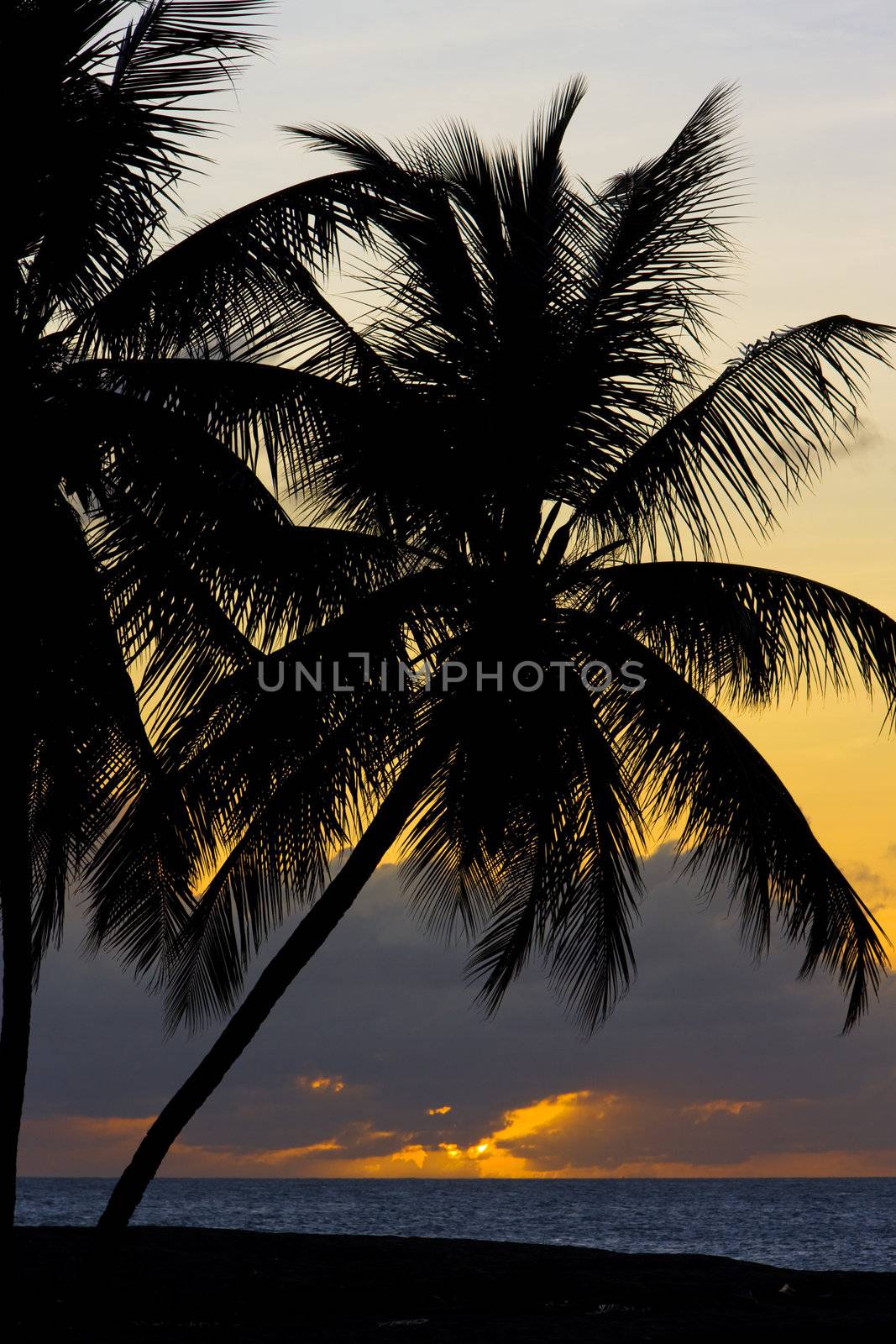 sunset over Caribbean Sea, Turtle Beach, Tobago by phbcz