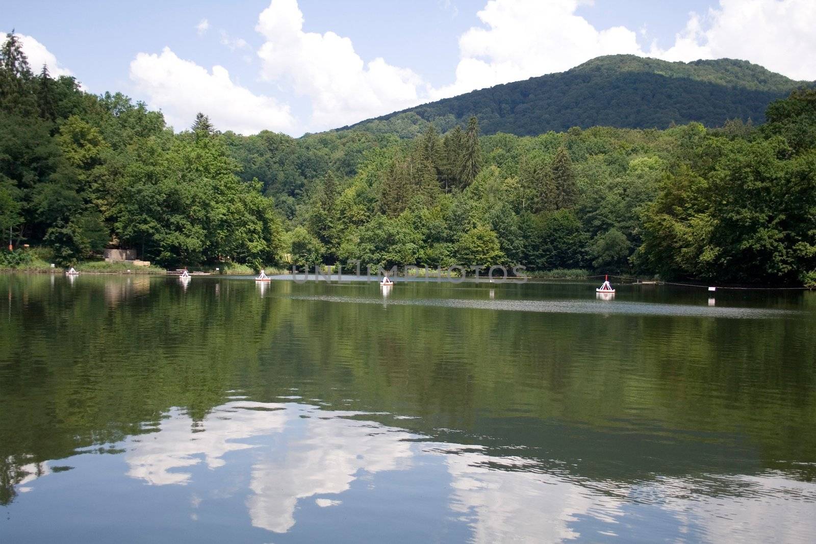 bear lake in transylvania - salt-water