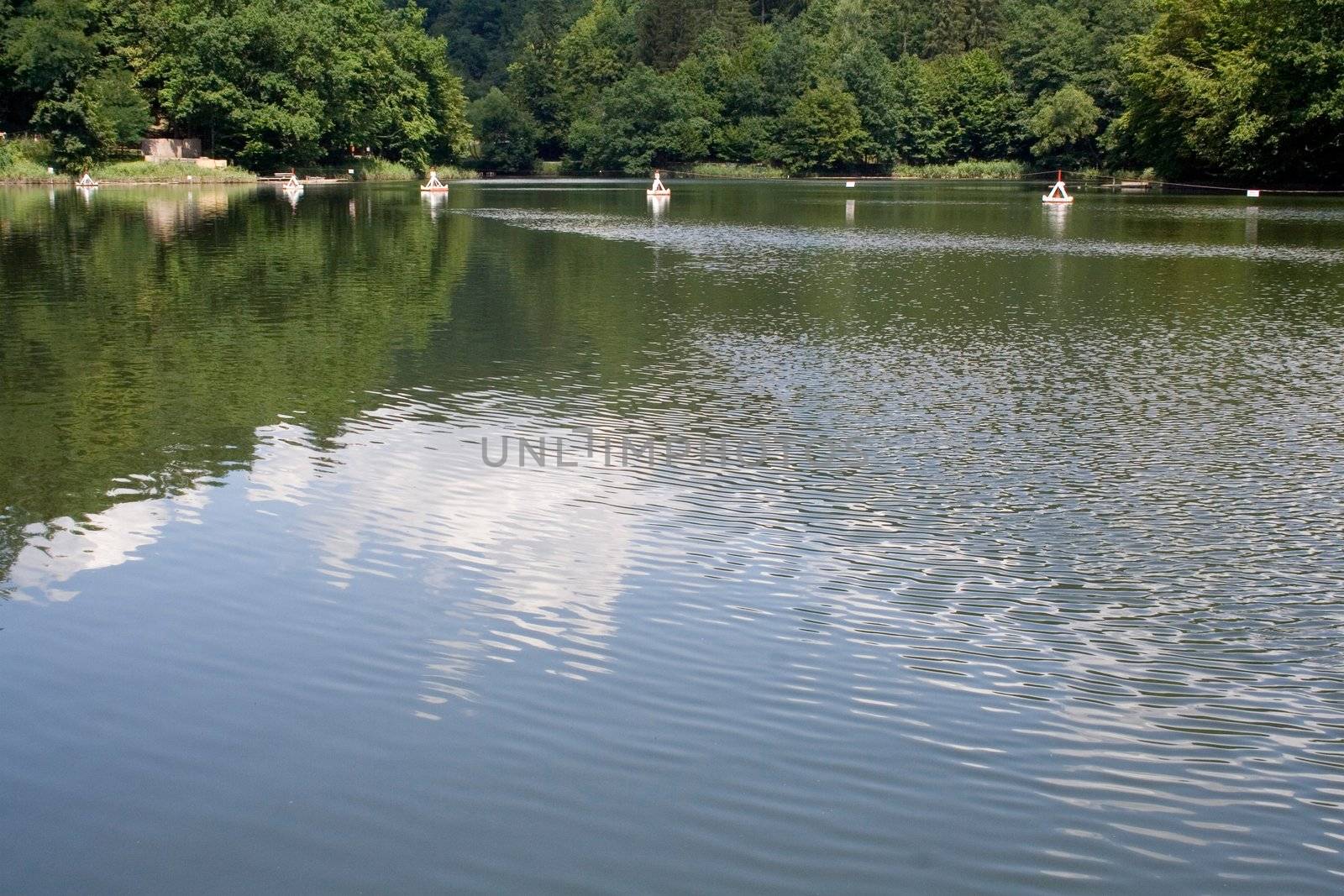 bear lake in transylvania - salt-water