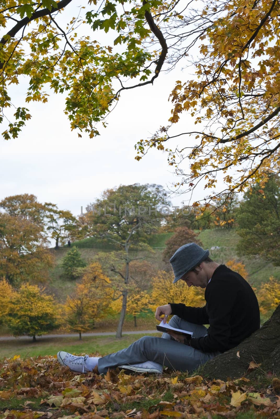 Young man reading under a tree in the park during autumn.