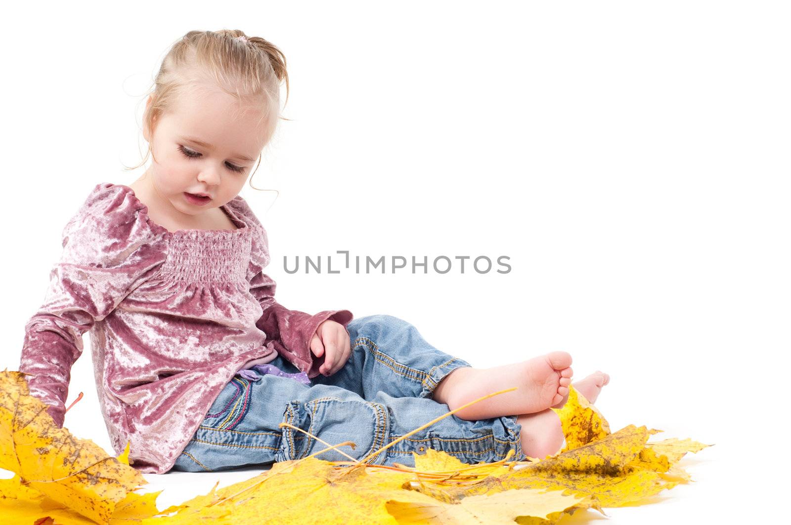 Shot of toddler playing with muple leaves in studio