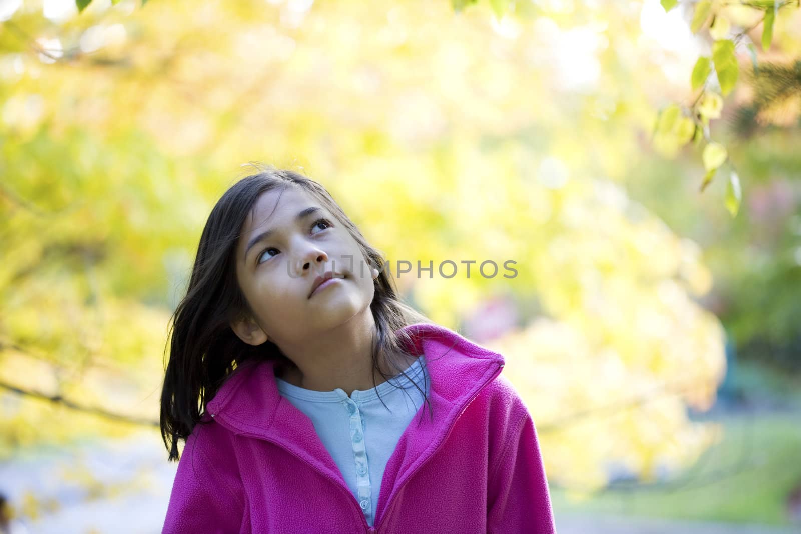 young girl looking up at autumn leaves