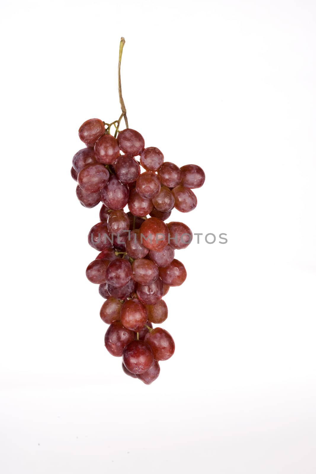 Bunch of red grapes isolated on white by jarenwicklund