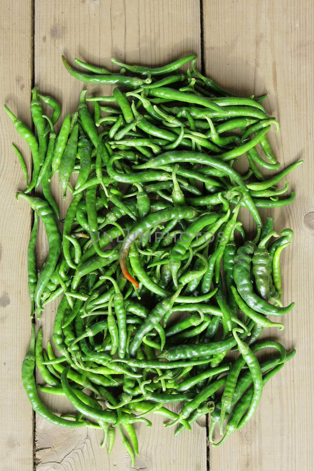 Green peppers by fotorobs