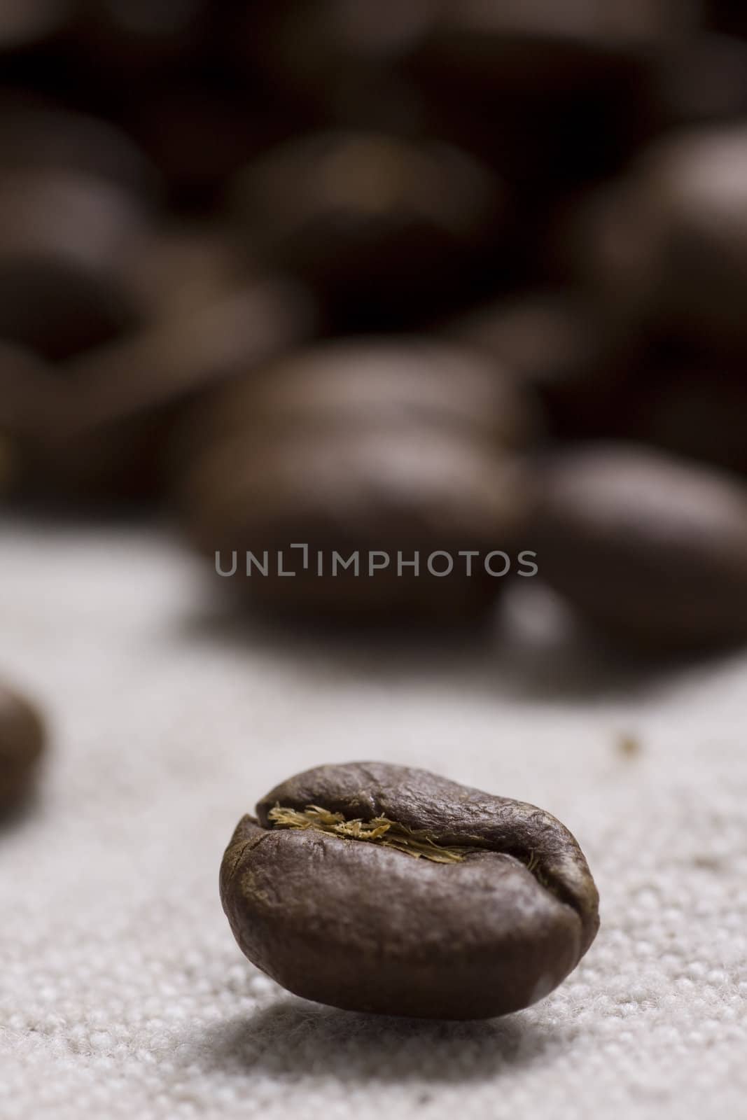 Roasted coffee beans on jute sacking