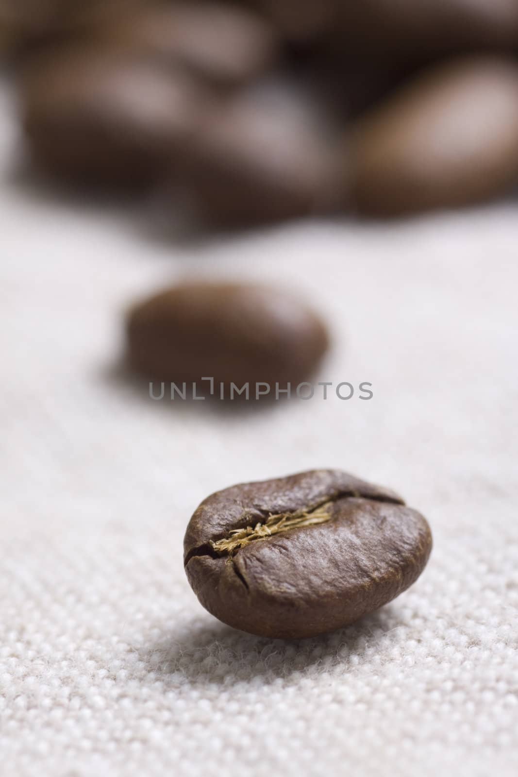 Roasted coffee beans on jute sacking