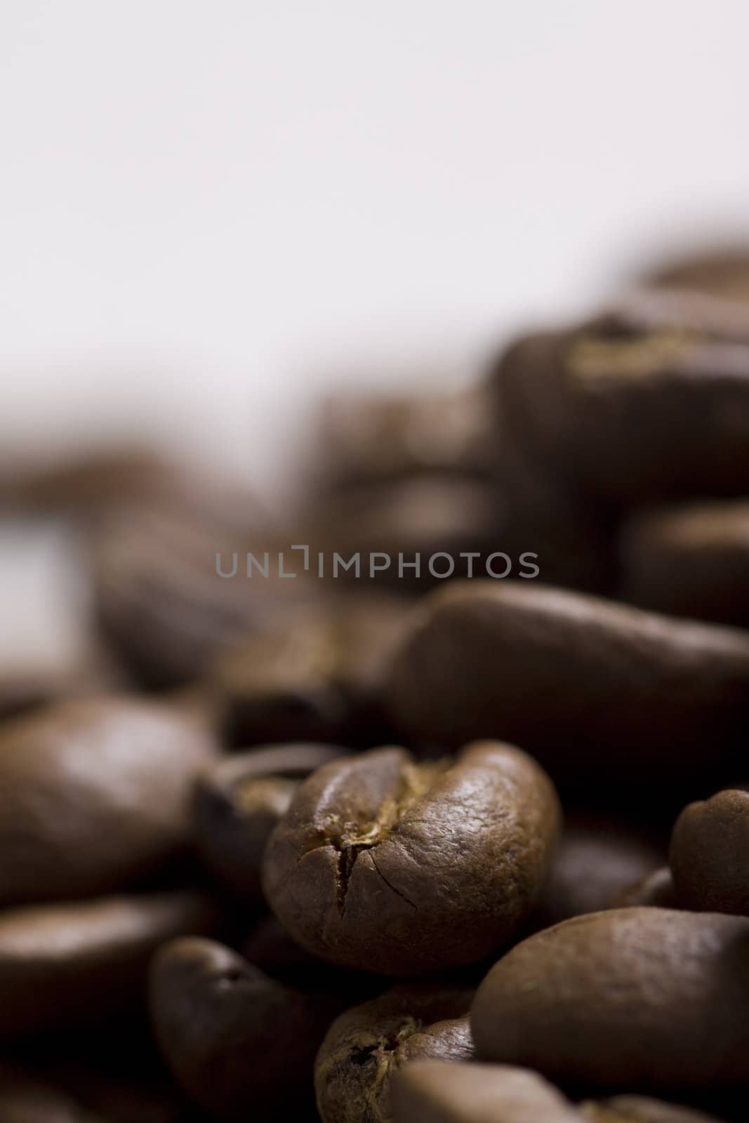 Roasted coffee beans mackro shot
