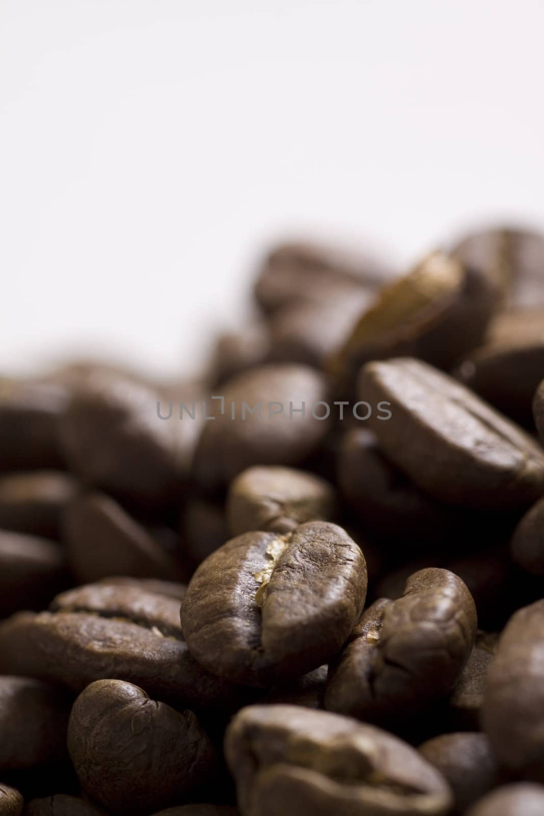 Roasted coffee beans mackro shot