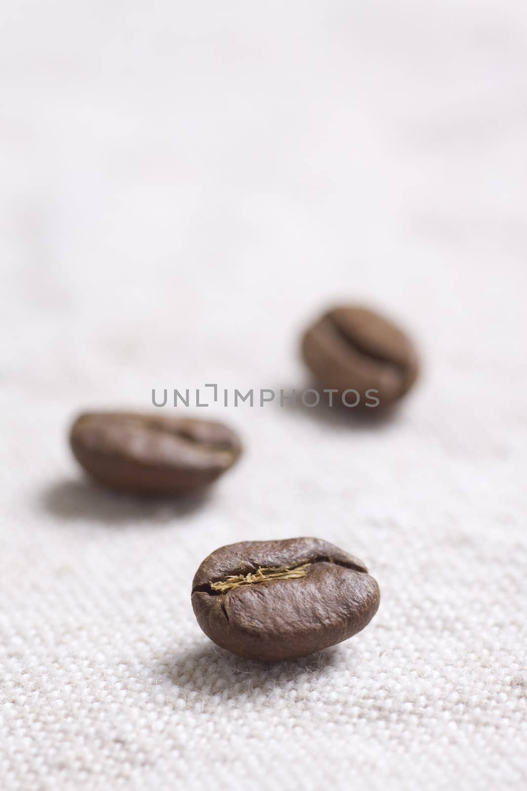 Roasted coffee beans on jute sacking