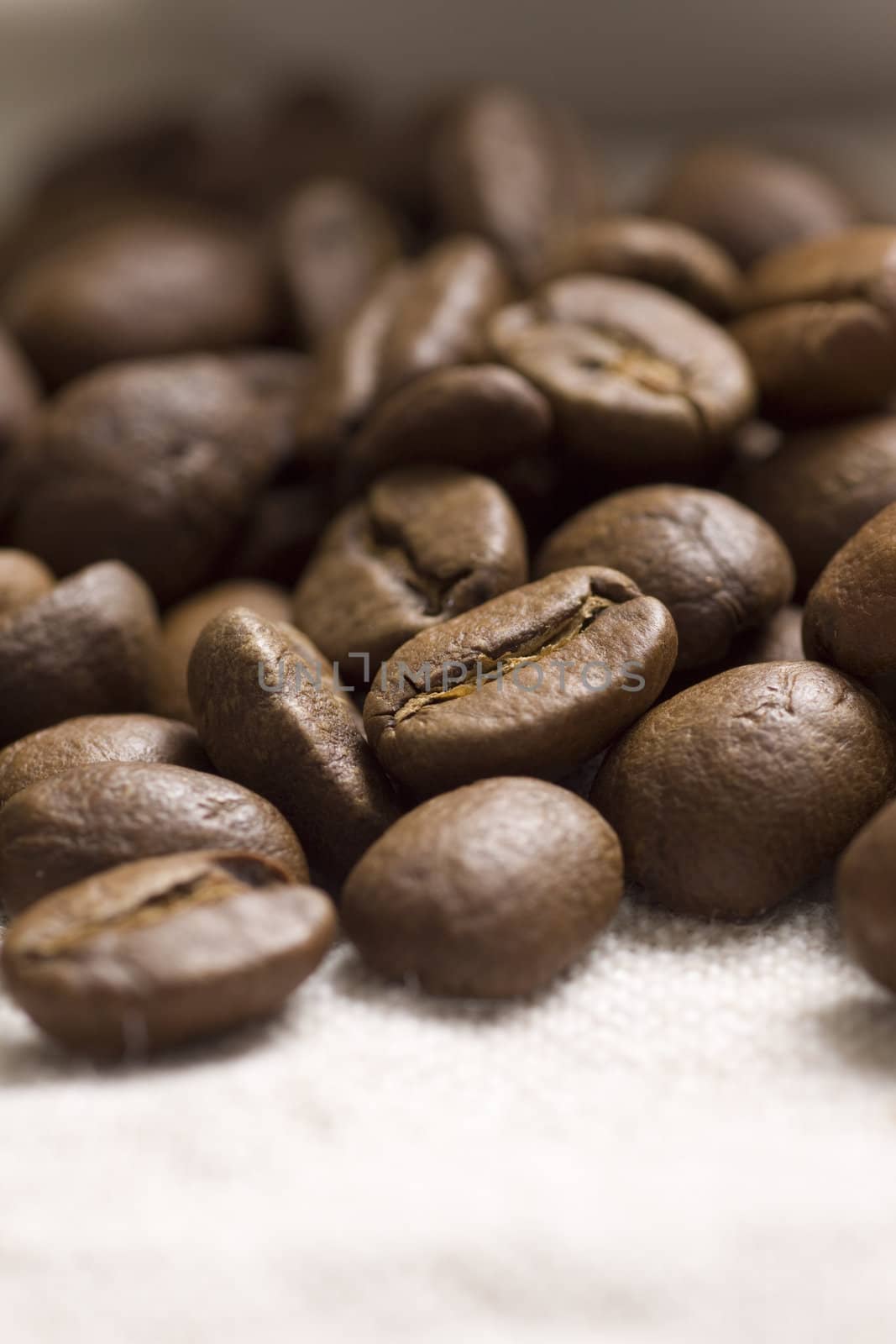 Roasted coffee beans on jute sacking