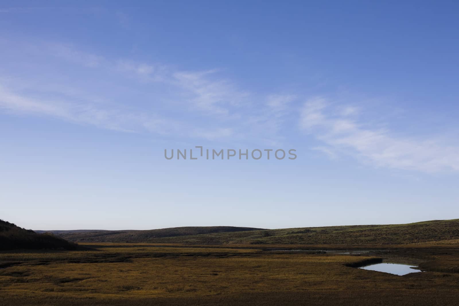 Early Morning Landscape, Point Reyes National Seashore, California