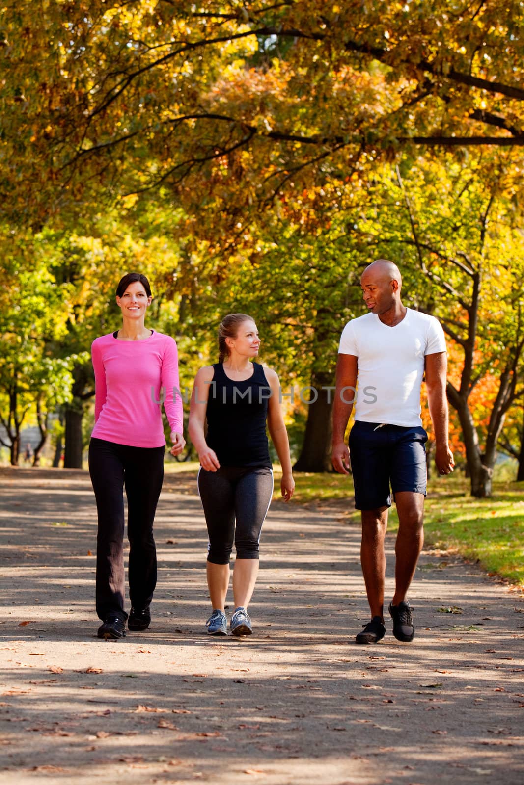 Three people walking in a park, getting some exercise