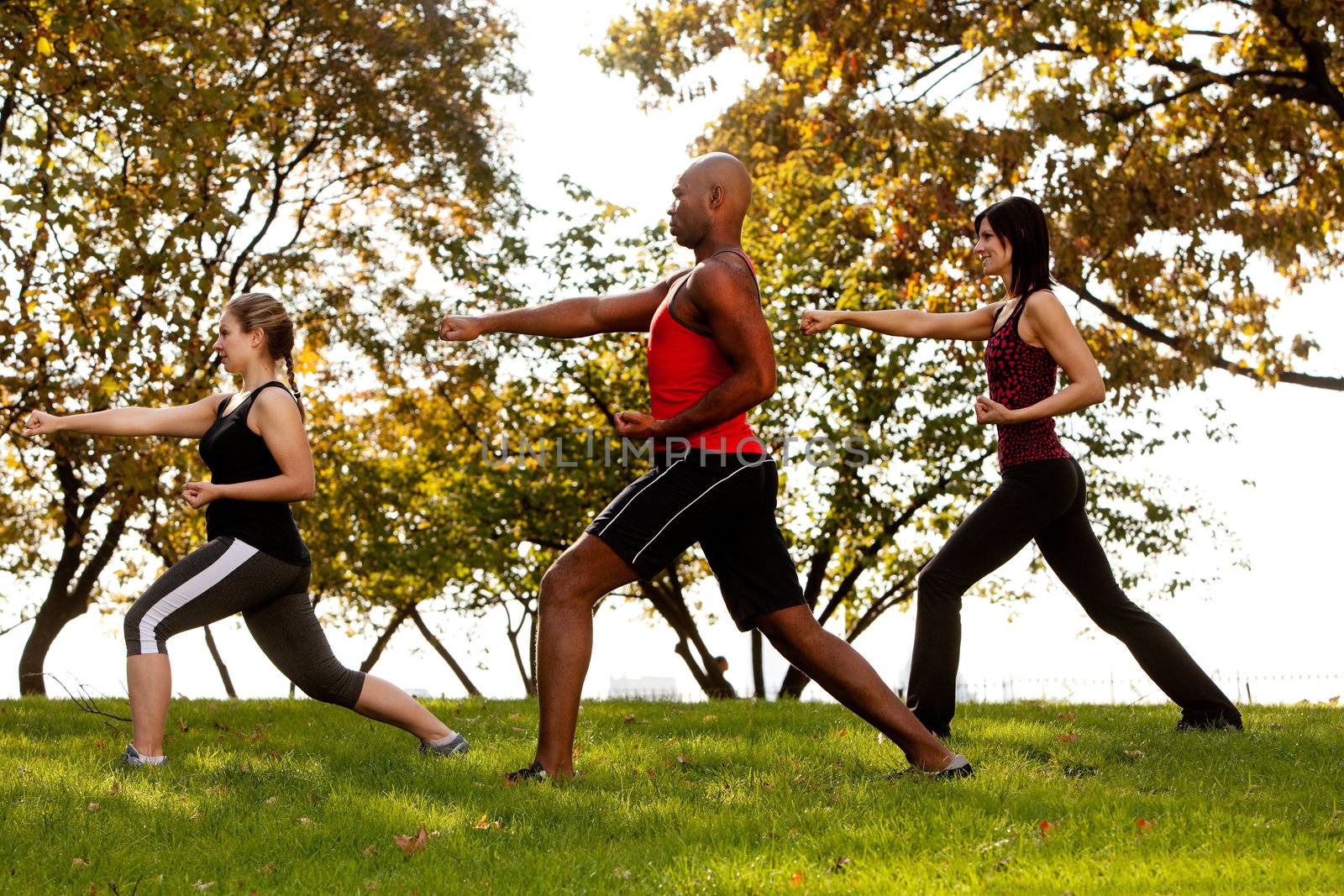 A group of people practicing martial arts in the park