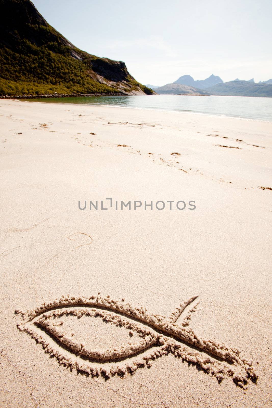 Fish Sand Symbol by leaf