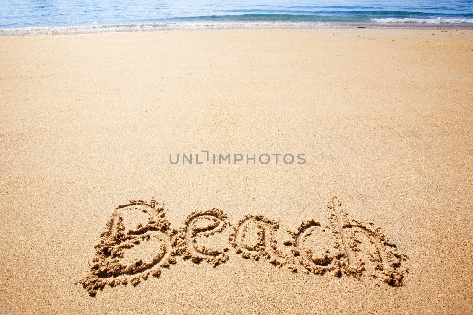 Beach Sand by leaf
