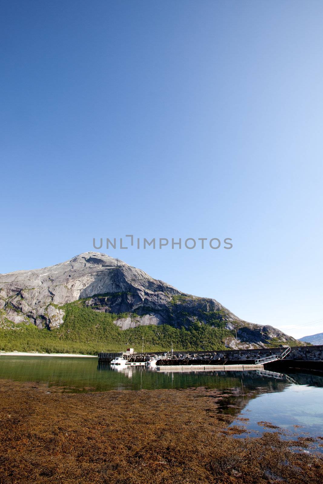 Norway Coast by leaf