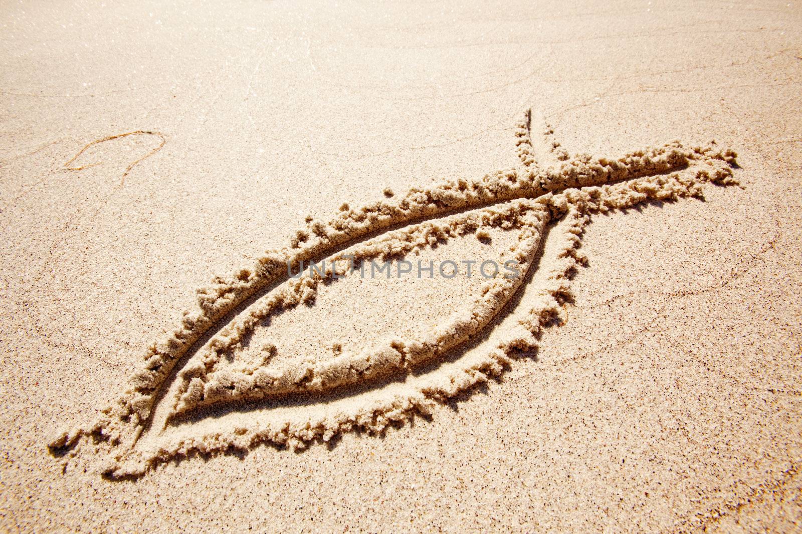 A fish symbol in drawn in the sand