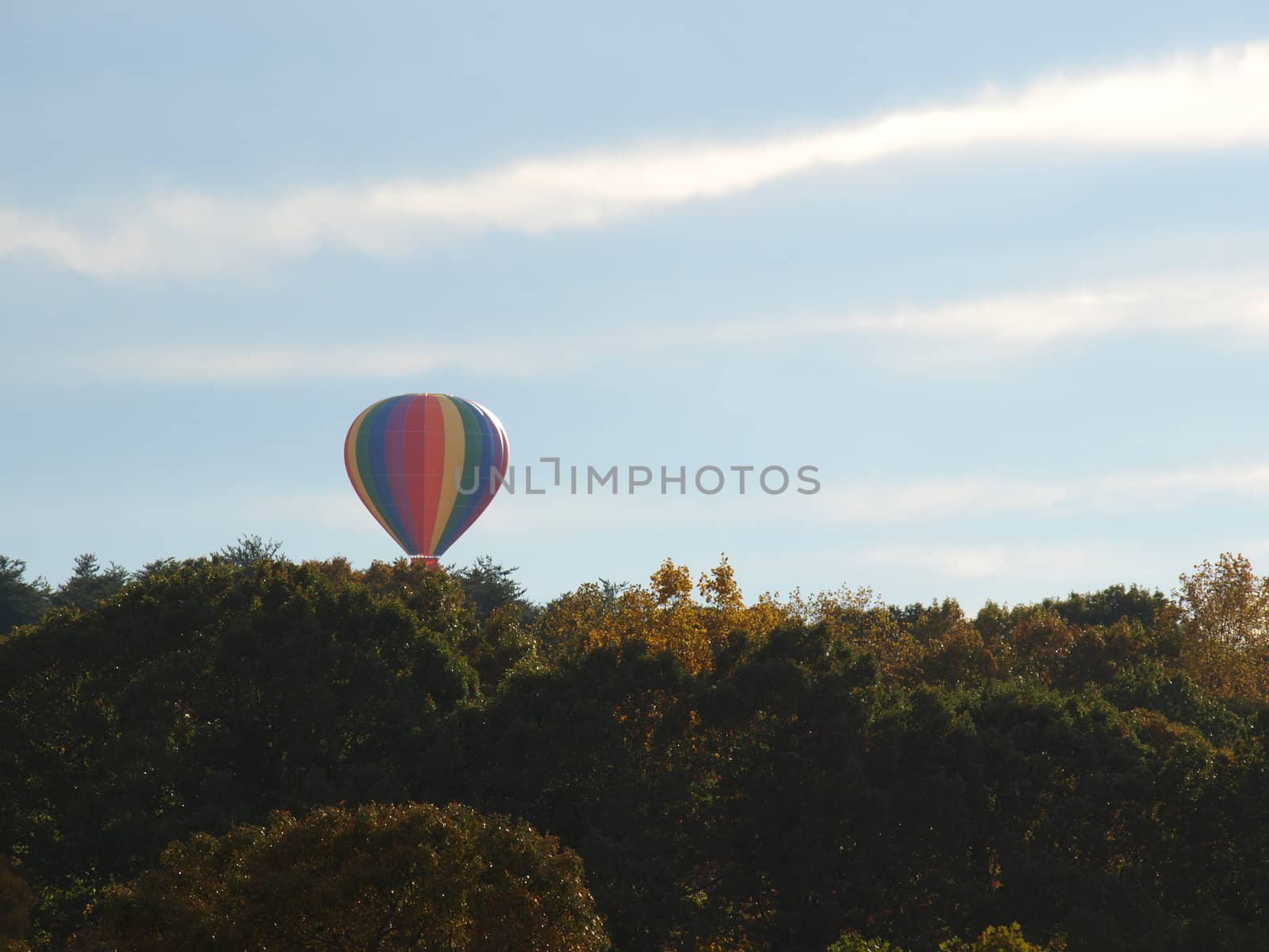 Hot air balloon festival in rural North Carolina. Rising over the trees