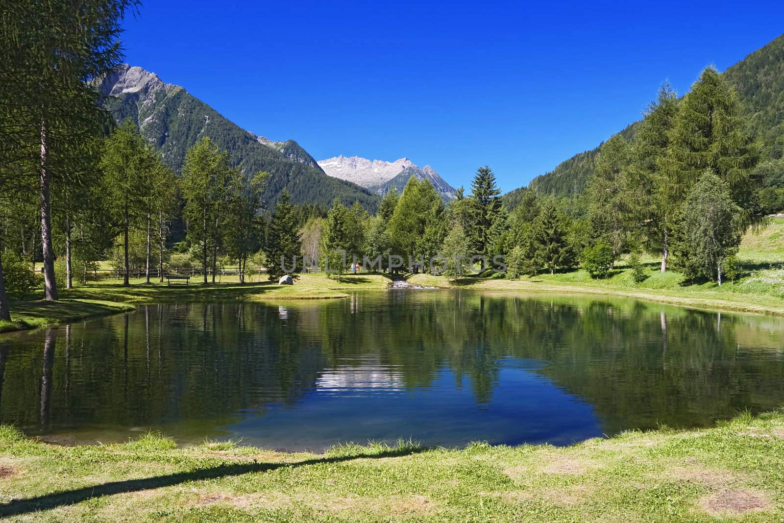 small lake in Vermiglio, Trentino, Italy