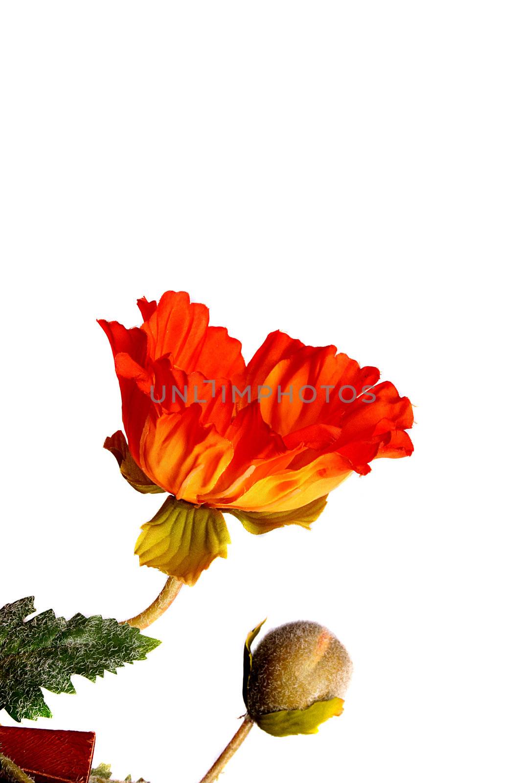 Artificial flower of a poppy with a bud on a white background.