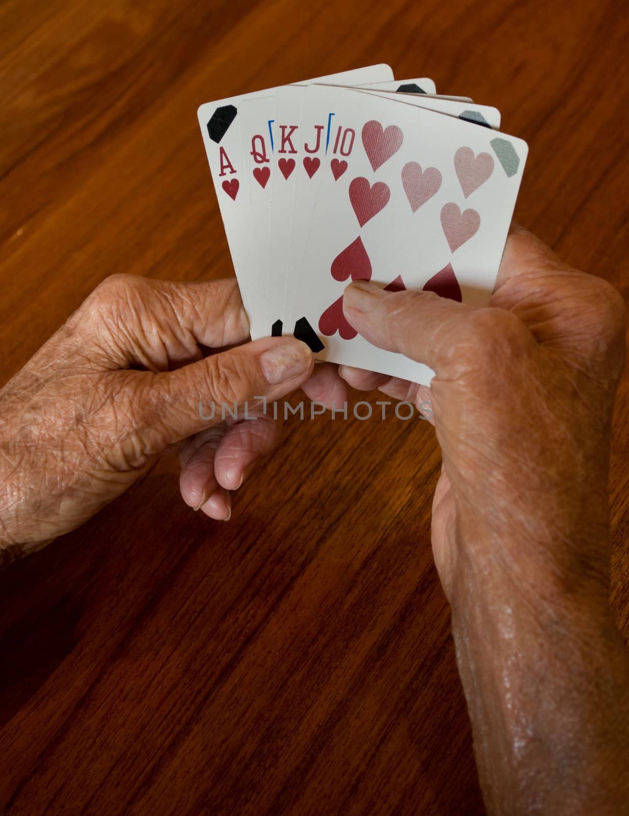 seniors hands holding a winning plaing card hand of a straight flush of hearts