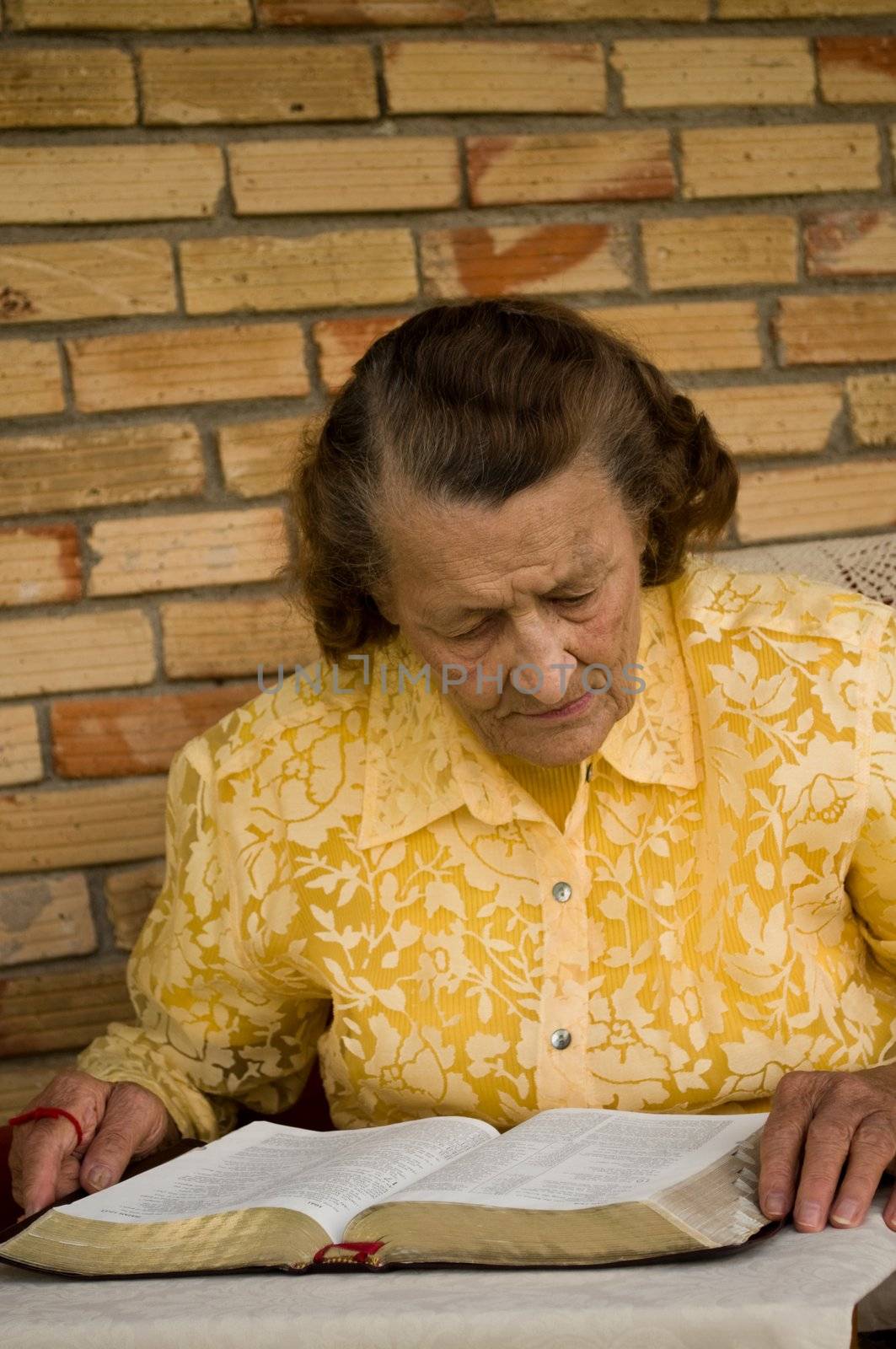 senior woman reading and studying her Bible