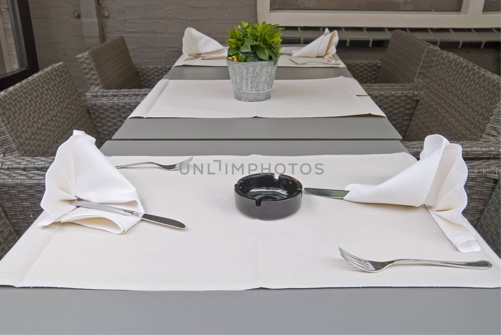 Restaurant table setting with flower and ashtray.

