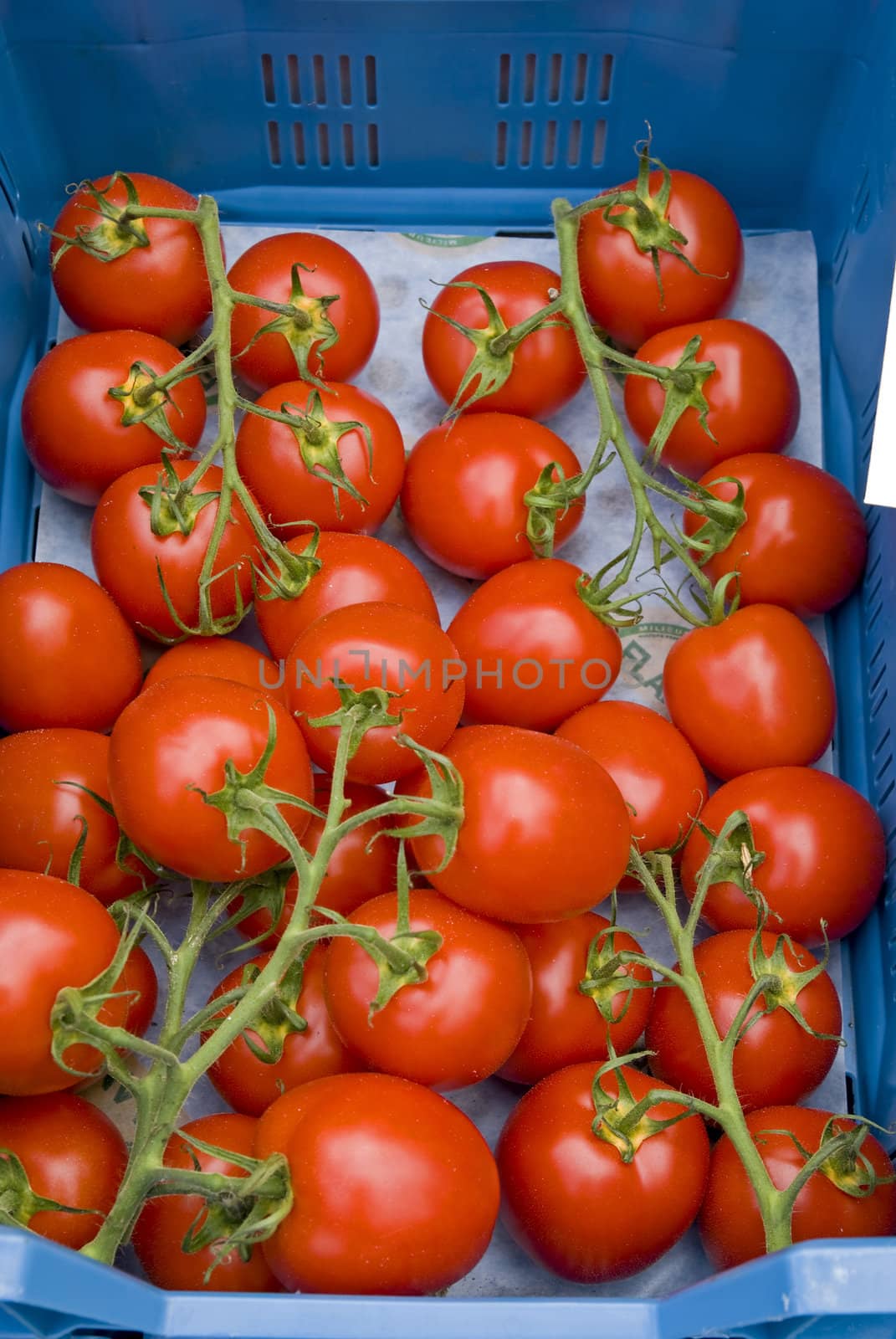 Fresh tomatoes in a blue box.