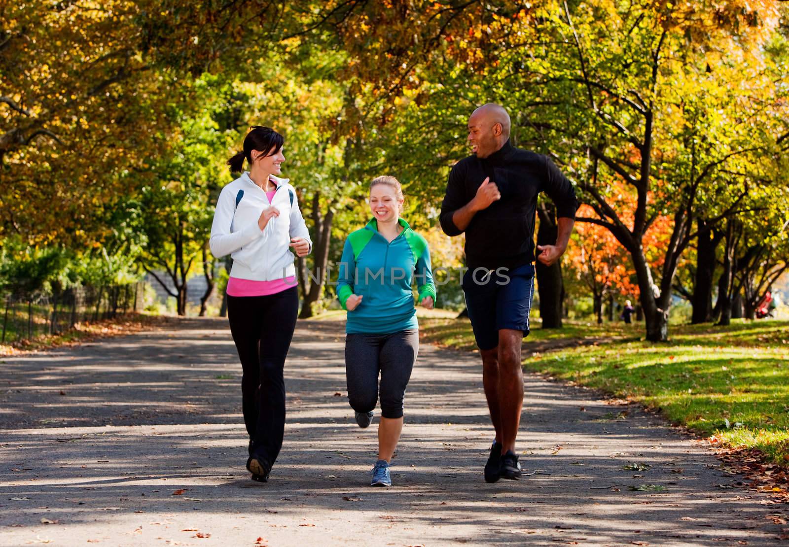 Three young adults jogging in the park