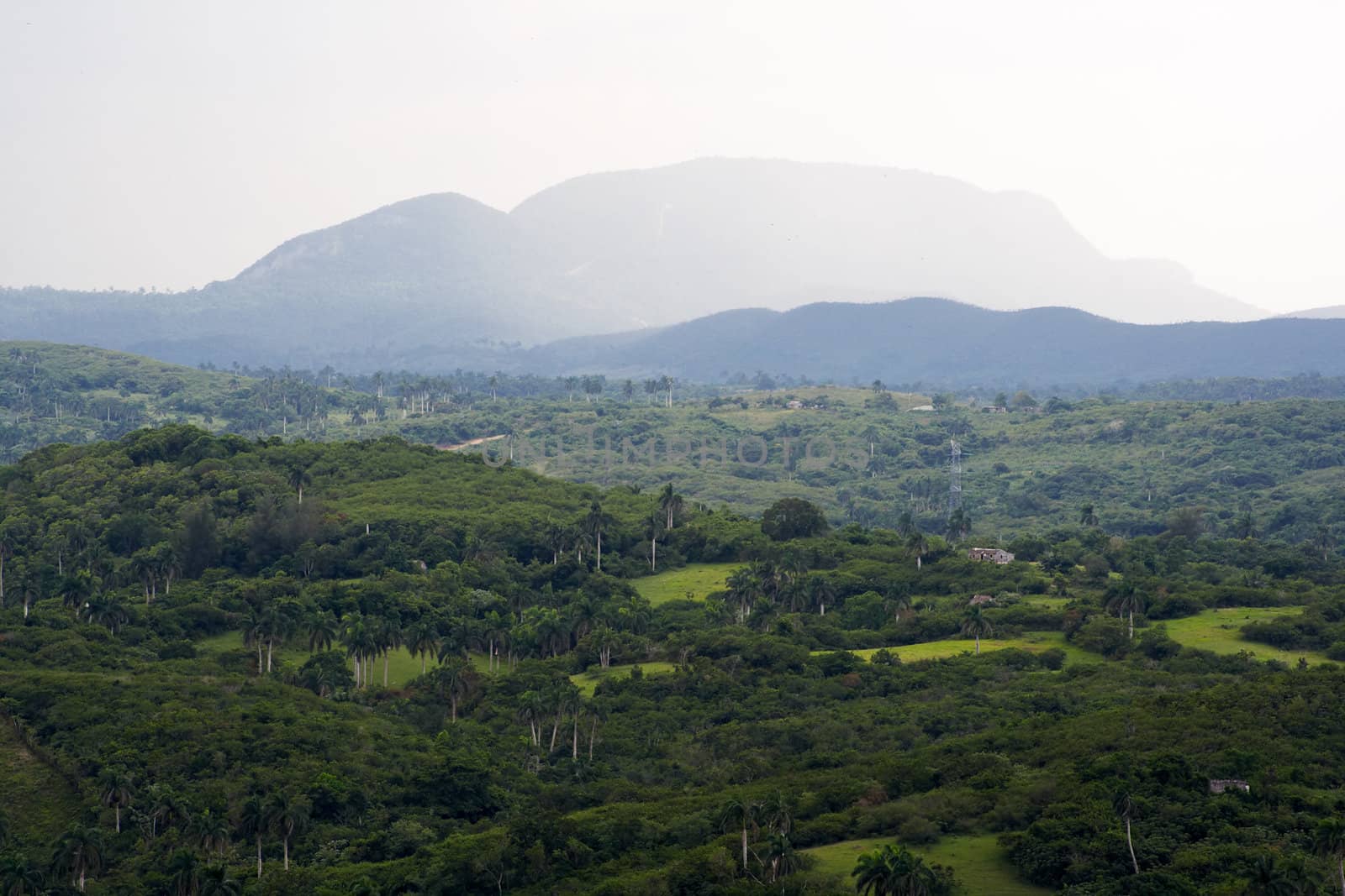 Tropical valley with high mountains in the background