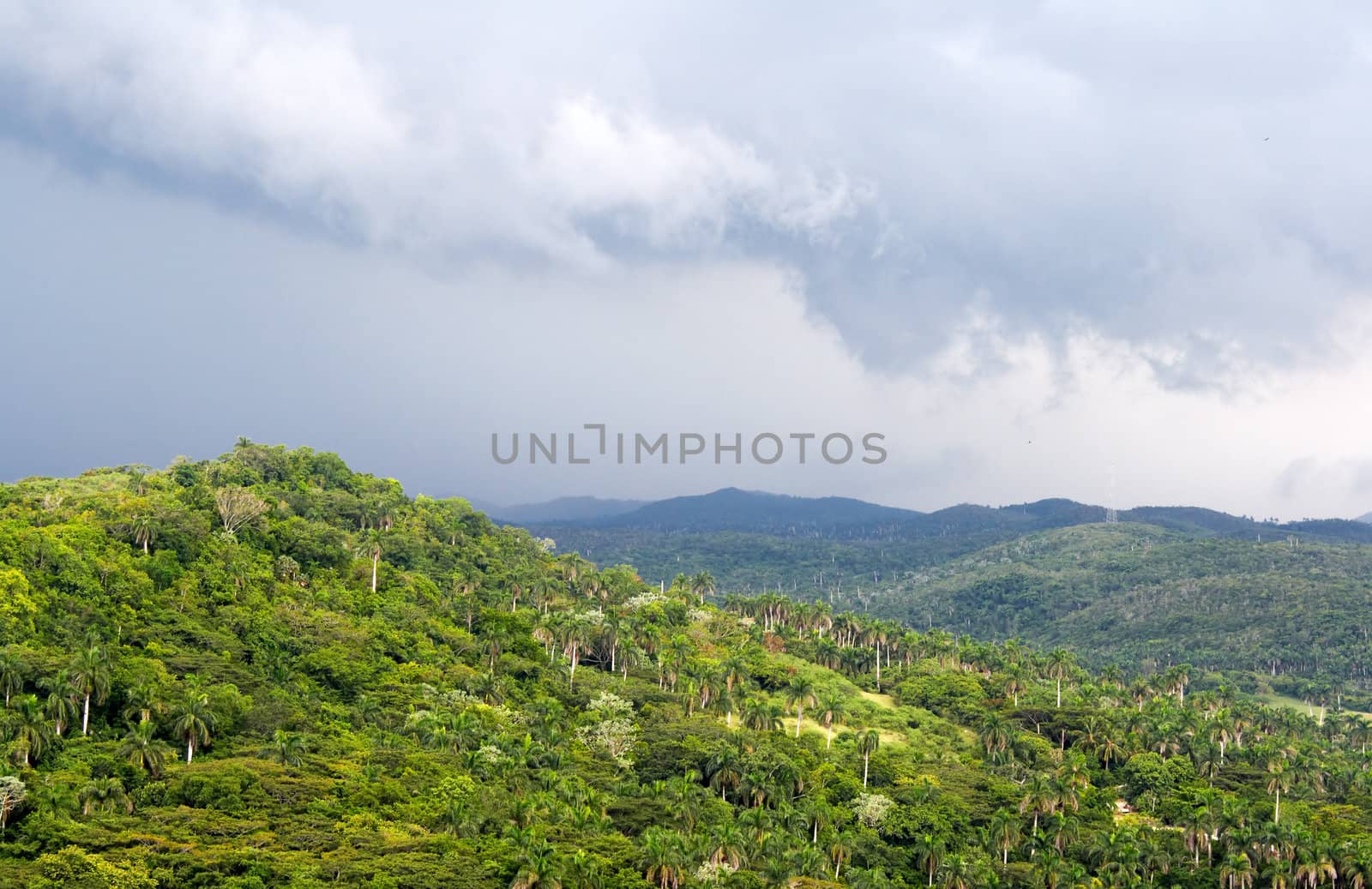 Hills covered with exuberant green vegetation and a cloudy sky