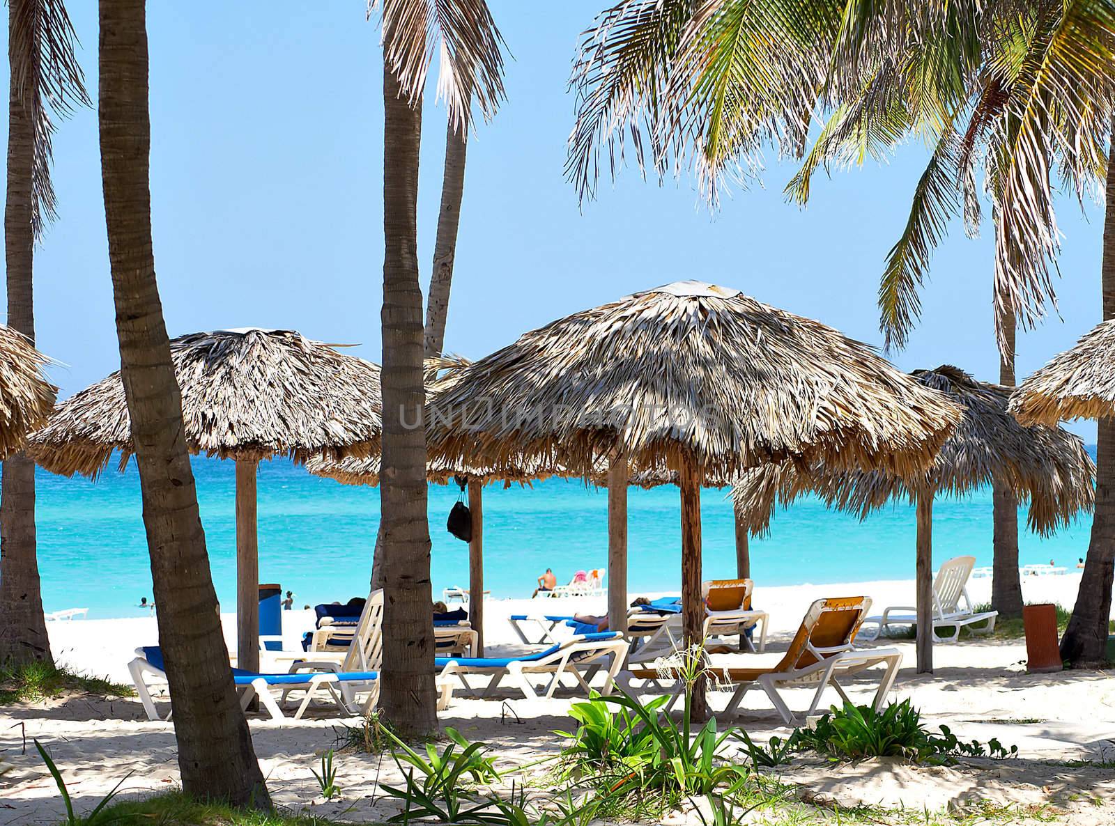 View of a group of umbrellas and chairs in a beach