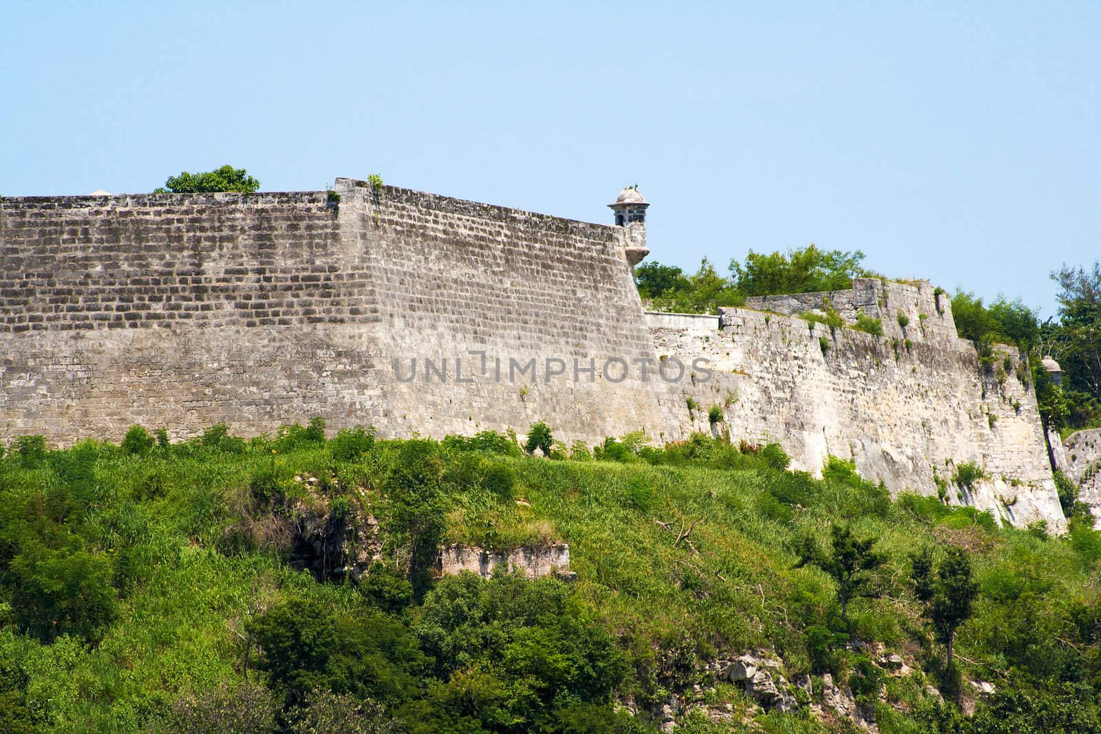 Walls of a fortress on a hill covered by green vegetation