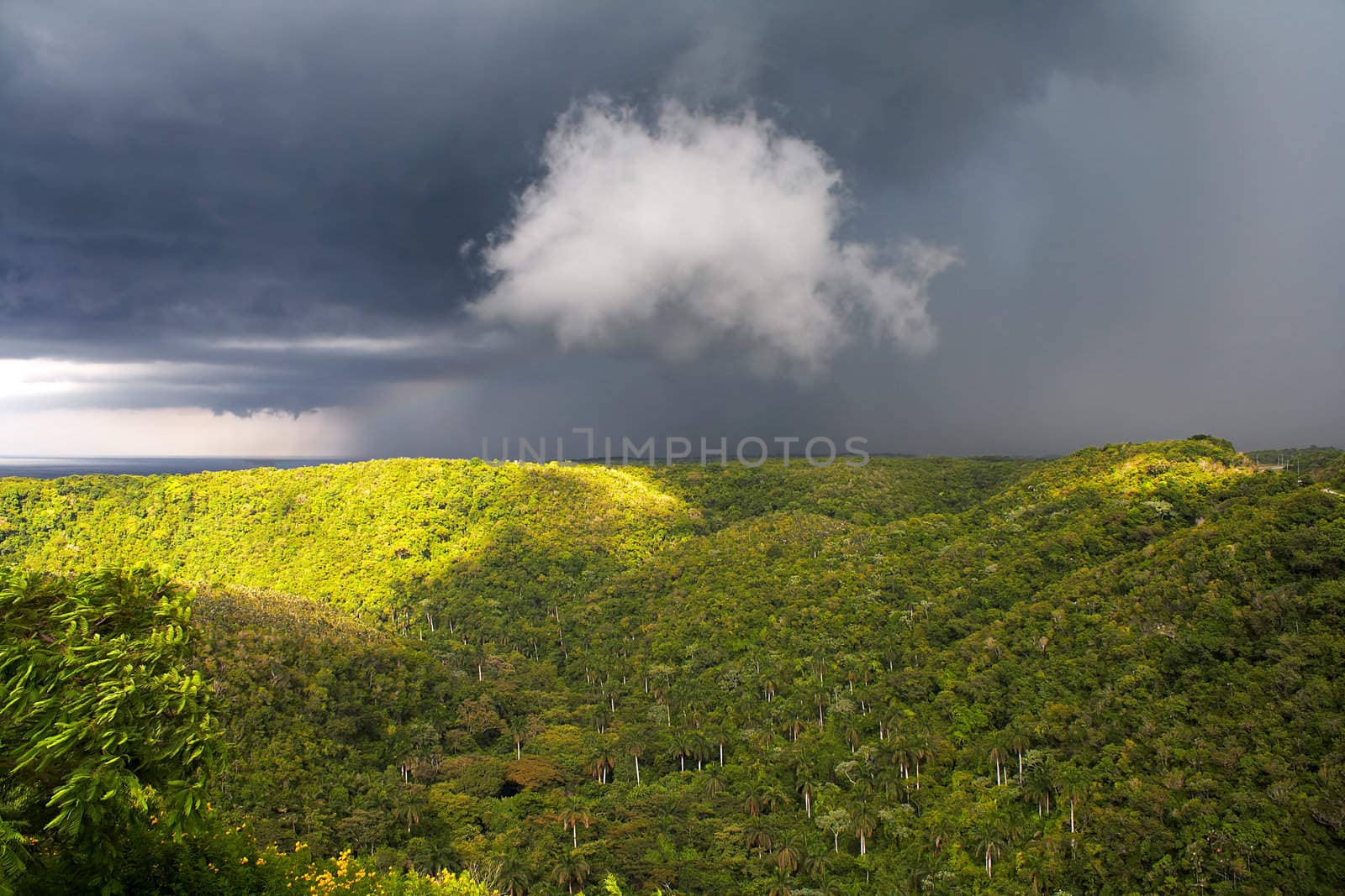 View of a green tropical valley with clouds in the sky