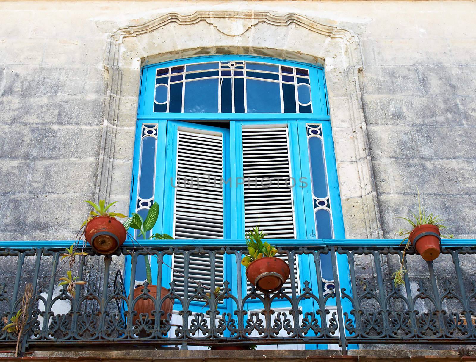 View of an old balcony with plant pots and blue wooden doors