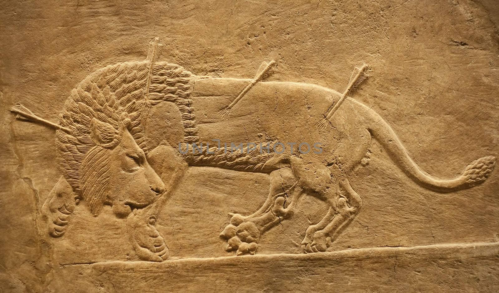 Old assyrian relief of a lion beig hunted with arrows