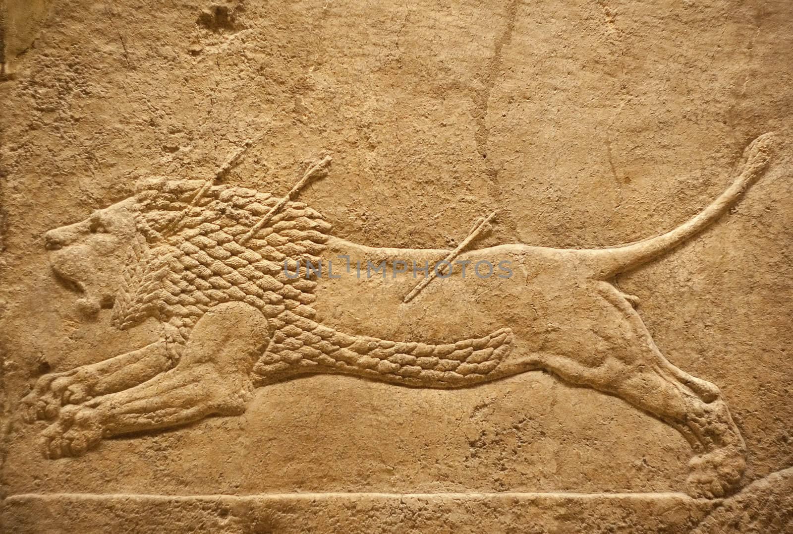 Old assyrian relief of a lion beig hunted with arrows