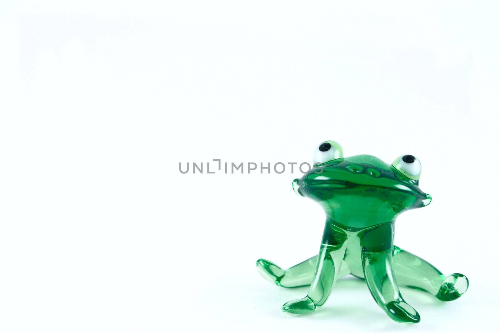Green glass frog removed close up