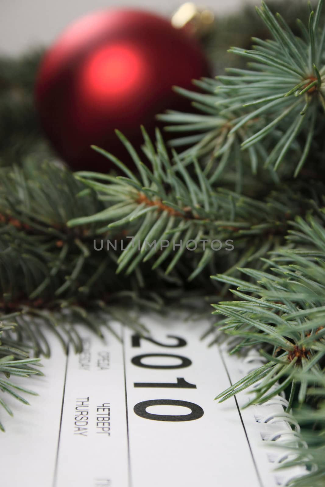 Calendar for 2010 covered with fur-tree branches and with a New Year's toy against