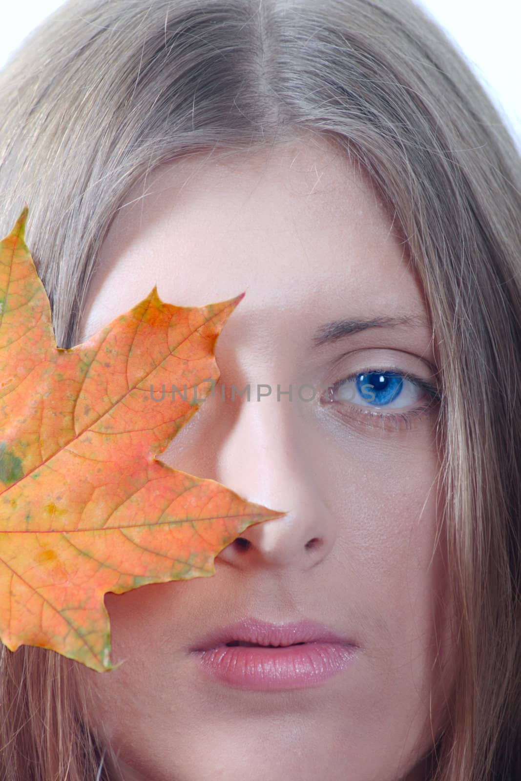 Portrait of the nice girl with an autumn maple leaf removed close up