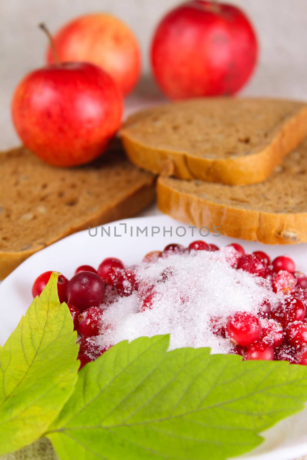 Cowberry sprinkled with sugar against red apples and bread removed close up