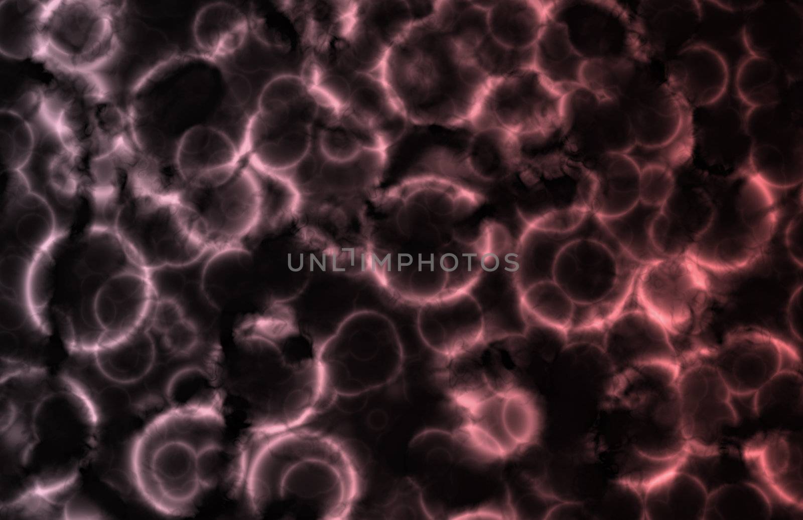 Microscopic Cell Organisms as an Abstract Art