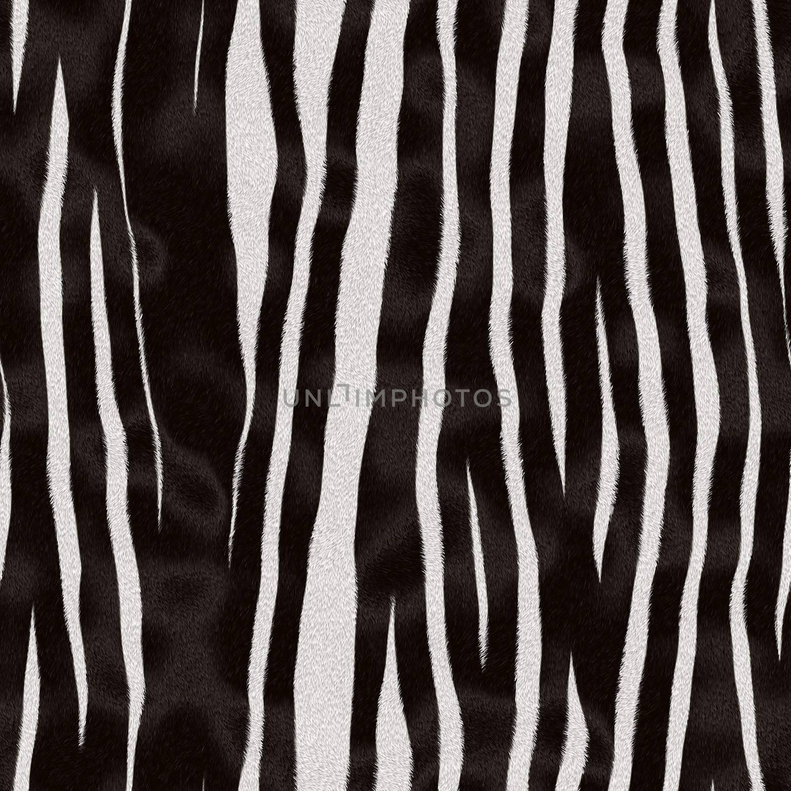 Zebra fur texture with black and white stripes