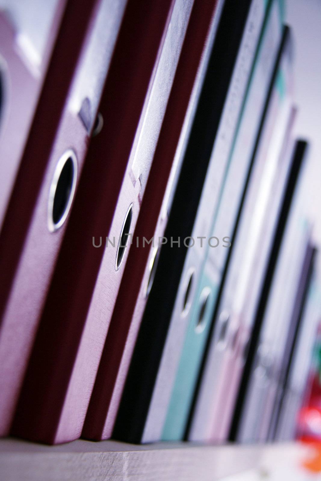 shelf in a office with many files