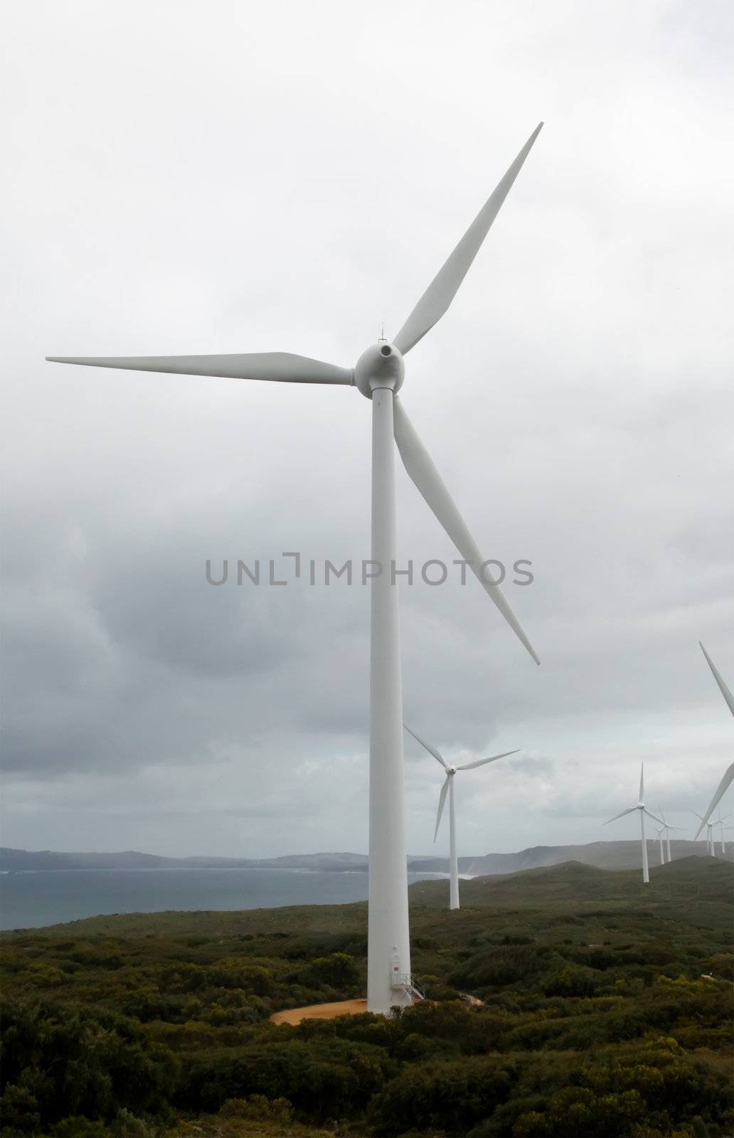 Clean Energy Environmental Through a Wind Farm