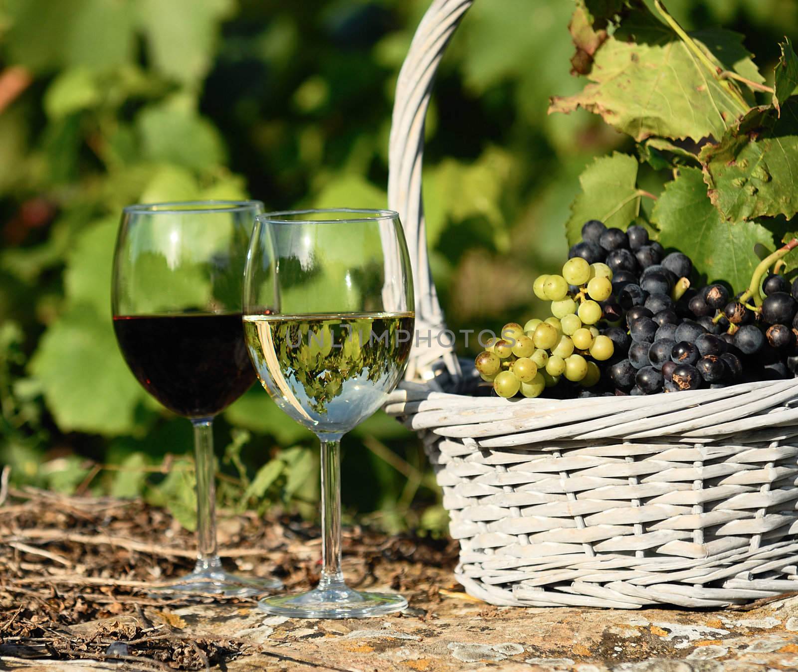 glasses of wine and grappes in basket