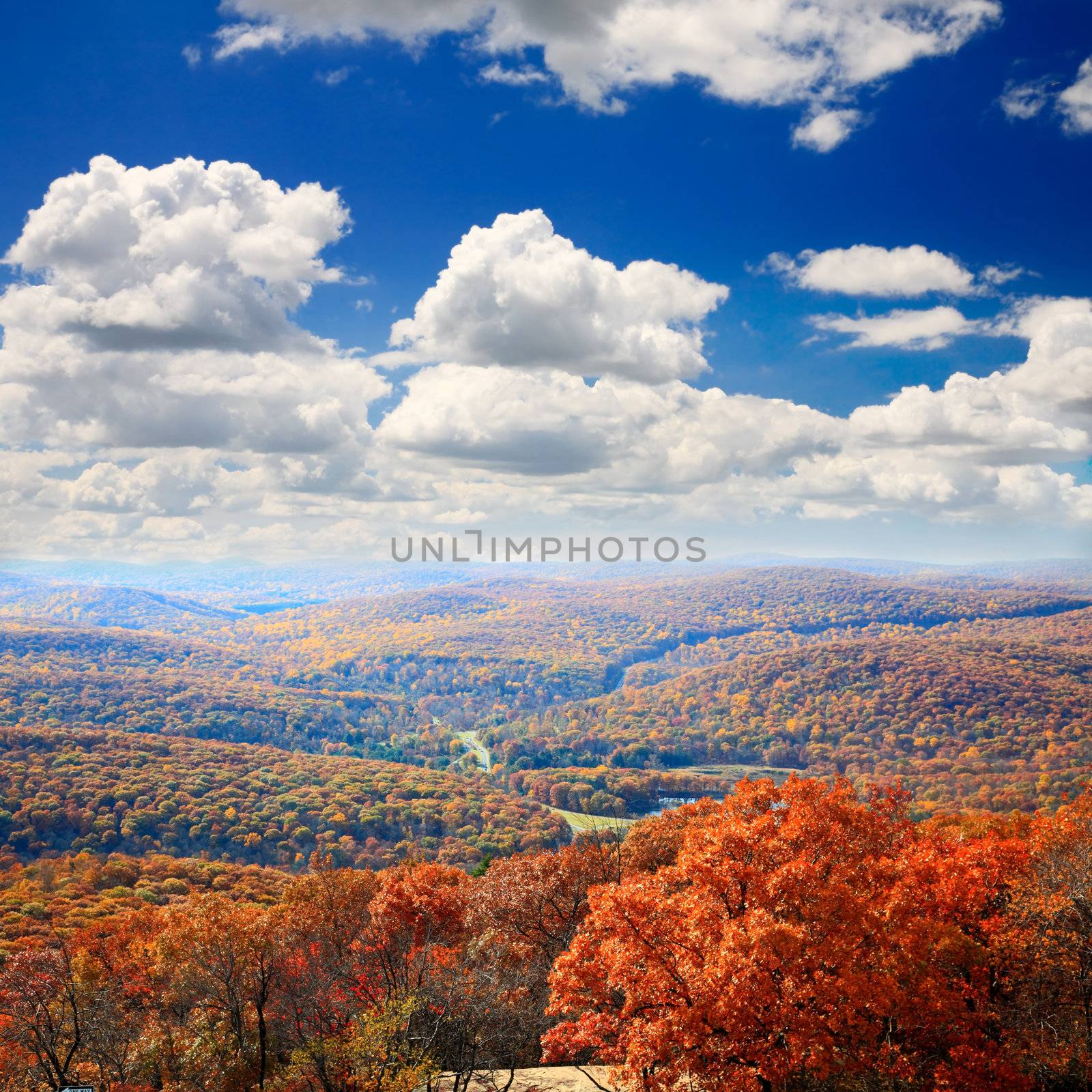 The foliage scenery from the top of Bear Mountain by gary718